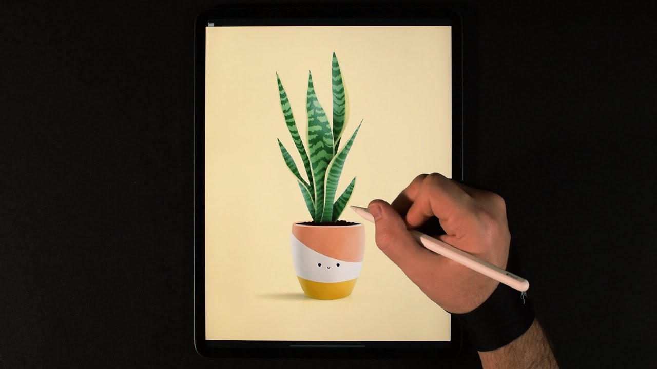 Snake Plant - iPad Pro Drawing - YouTube
