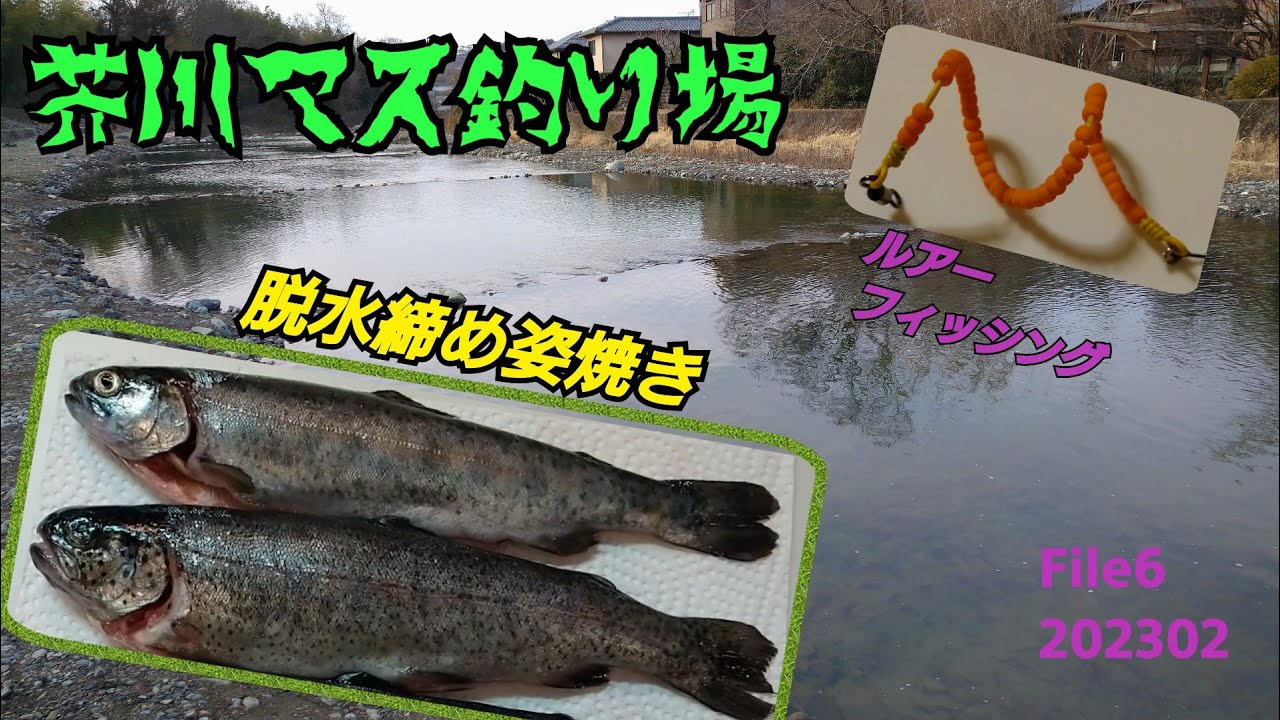 芥川マス釣り場 ルアー File6 フルバージョン 202302