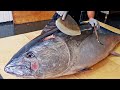 Amazing skill！500 Pound Giant bluefin tuna cutting Master, Luxurious sashimi/驚人的技巧！巨大黑鮪魚切割大師, 鮪魚金三角