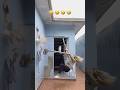 Crazy epic fails 🤣 Ep 14 #shorts #memes #fails #funnyshorts #trynottolaugh