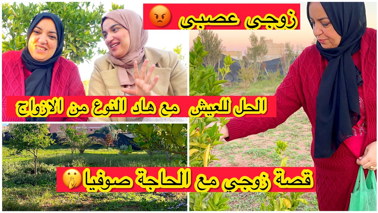 نصيحة من ذهب لكل سيدة عندها زوج عصبي الحل لي جربات حلومة ولقات راحتها وكسبات صحتها🤫سمعو القصة