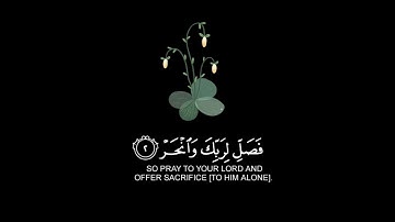 القران الكريم | سورة الكوثر | القارئ عبدالرحمن مسعد | تلاوة خاشعة جميلة جدا 😌❤️ | حالات واتس اب