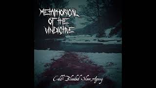 Metaphorical of the Vindictive - Vanitas Existentiae Meae