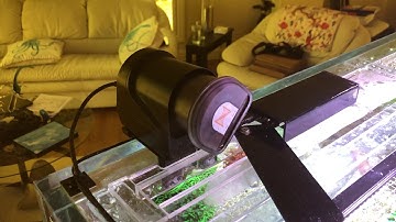 Aquarium screen top door for automatic feeder