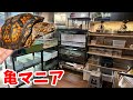 【お宅訪問】カメにはまって新築の家に専用部屋を作ったマニアがヤバすぎた...!!!