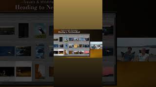 Heading to Newfoundland to Photograph Puffins - Travels and Wildlife Photography Teaser #birds
Full video at https://youtu.be/sj3LsHCcq0E
We are back after a bit of a break and in this episode Emilie and I share about her trip with her mom driving the van from South Carolina to Maine for the first time without me and the stops they made along the way. Then we share about our travels from Maine to Newfoundland and our first few outings photographing Atlantic Puffins! Heading to Newfoundland to Photograph Puffins - Travels and Wildlife Photography Teaser #birds