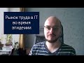 Рынок труда в IT во время эпидемии | Константин Волков