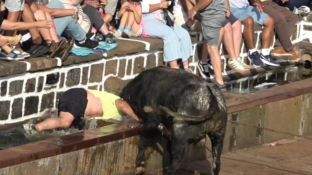 24-- 07 --2025  / TOURADA VILA S. SEBASTIÃO TOIROS  : J.A.F 