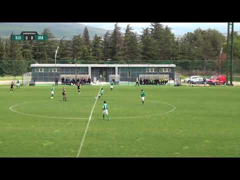 შევარდენი 1:3 ვიტ ჯორჯია