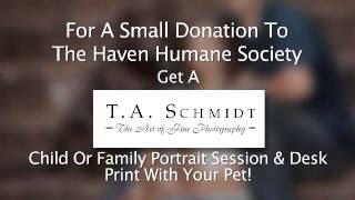Pet Portraits from TA Schmidt for Haven Humane Redding CA