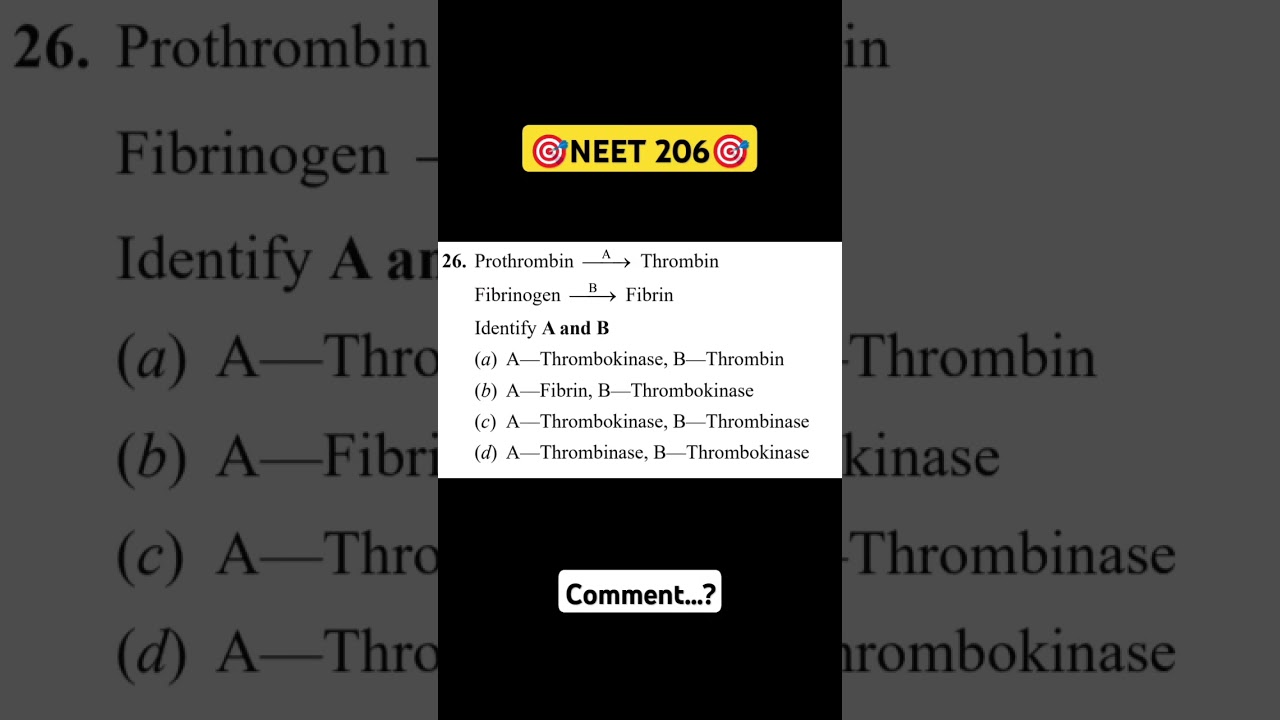 NEET Biology Question Practice 