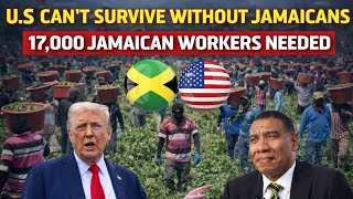Download Lagu Why the U.S. Needs 17,000 Jamaican Workers Every Year  And What Happens If That Stops MP3