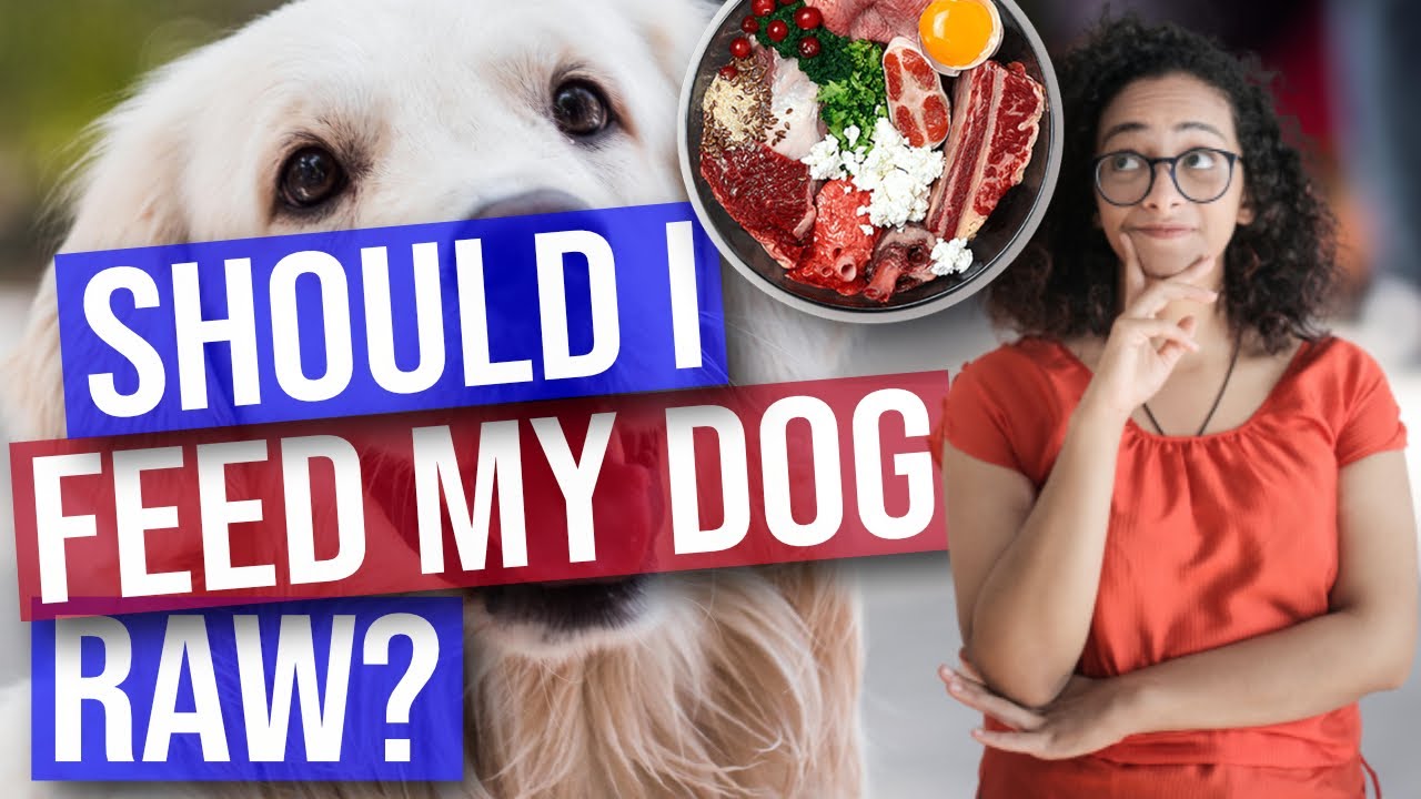 Raw Food Diet For Dogs Pros And Cons Should I Feed My Dog Raw? YouTube