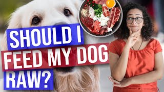 Raw Food Diet For Dogs Pros And Cons - Should I Feed My Dog Raw?