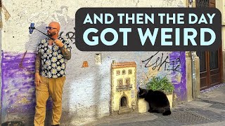 A Tiny House For Cats?! by Jackson Galaxy 84,649 views 4 months ago 4 minutes, 29 seconds
