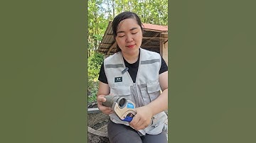 Kéo cắt ống nước Kingblue siêu bén #coemthovuon #youtubeshopping #youtubeshopping #funny #diy #tips