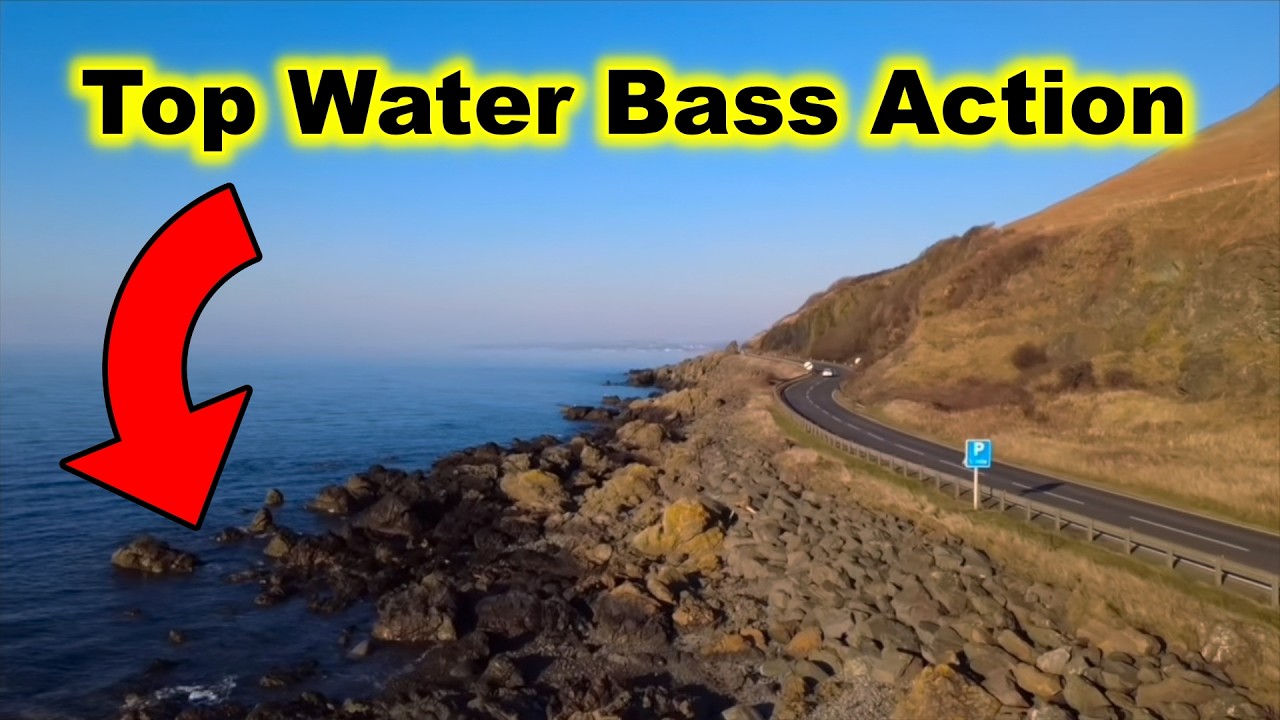 I Found Bass Right Beside the Road! 😱 | Insane UK Sea Fishing