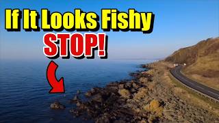 I Found Bass Right Beside the Road! 😱 Sea Fishing Scotland