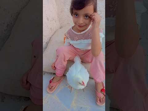 ايدي متبهدلة خالص شفا   لولو اكسبلور  حالات واتس