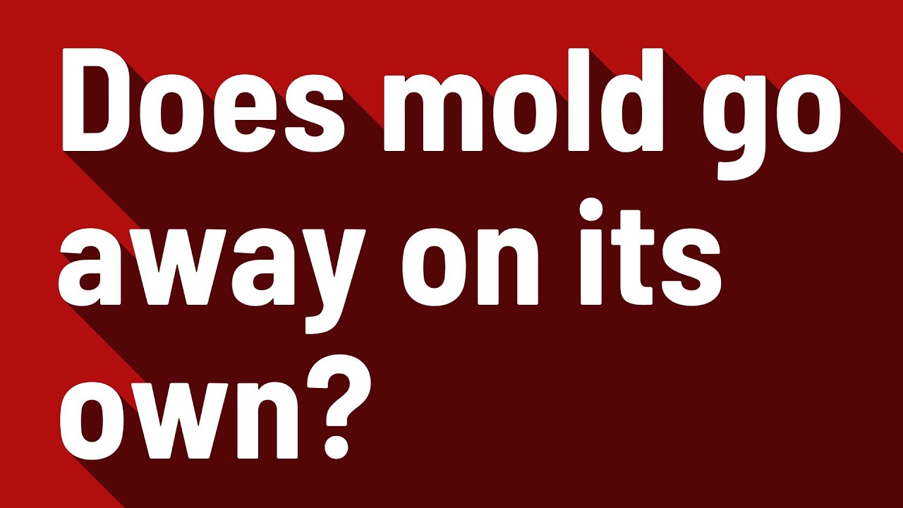 Does mold go away on its own? YouTube
