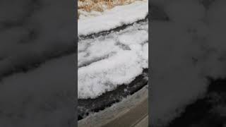 20200216 1635571