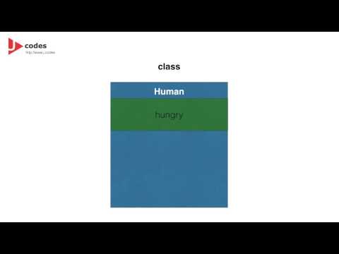 C3. Java Concepts Tutorial: Class & Object