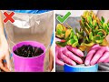 Smart Gardening Hacks And Great Ideas For Growing Plants At Your Home