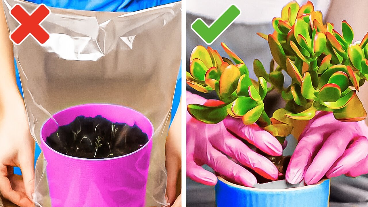 Smart Gardening Hacks And Great Ideas For Growing Plants At Your Home ...