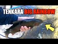 Big Trout Fishing on Tenkara - Trout Fly fishing Metolius River - I Caught A Big Rainbow Trout