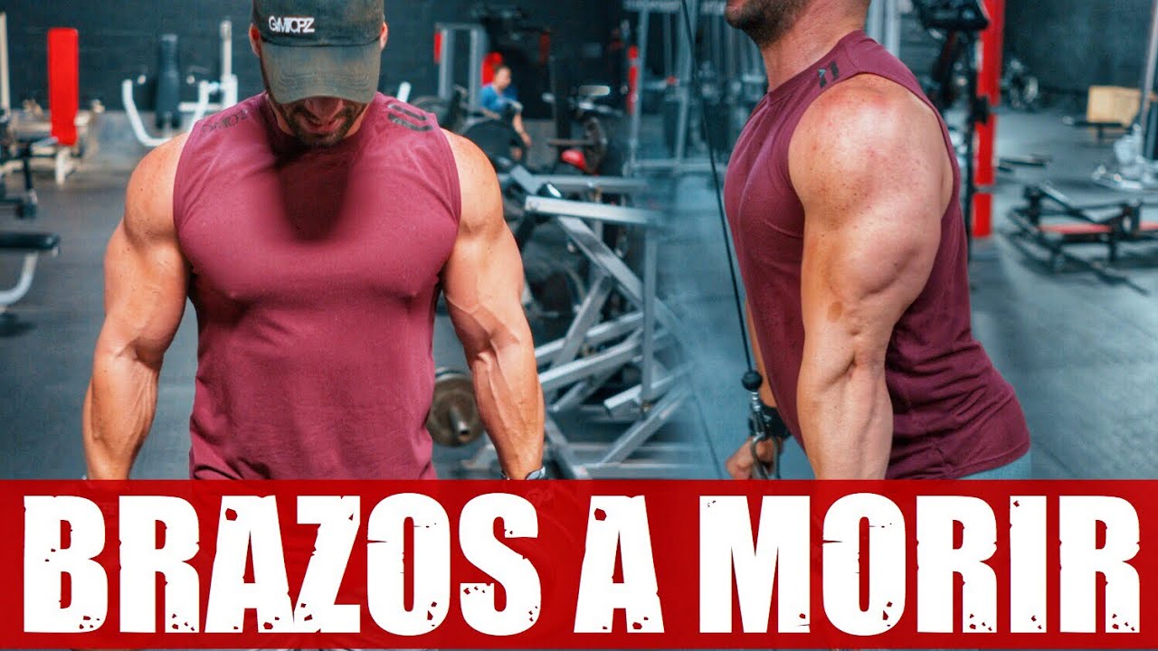 gymkhana RUTINA DE BRAZOS ANIQUILADORA | Gymtopz