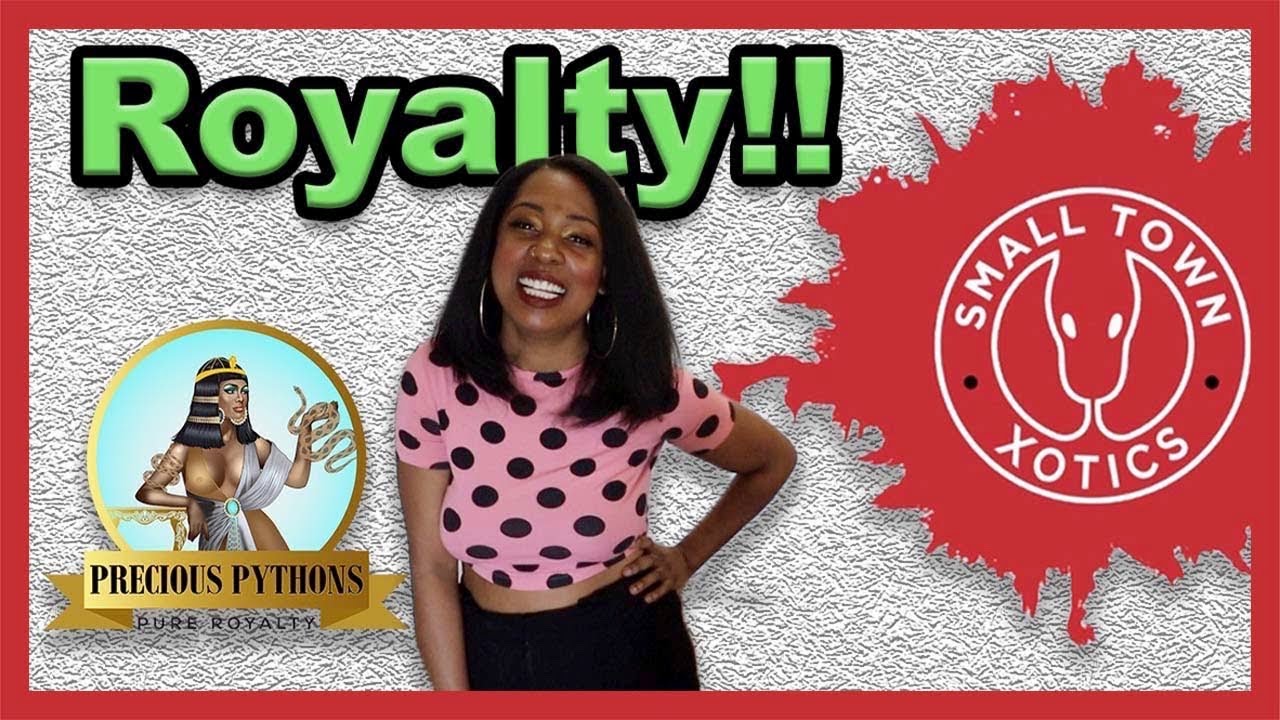 Hanging Out With Precious Pythons! | Ball Pythons