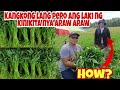 WOW! Kumikita Araw-Araw sa Kangkong Farming, Puhunan 250 lang!!