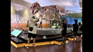 Dino bones! Chicago Vlog pt. 2