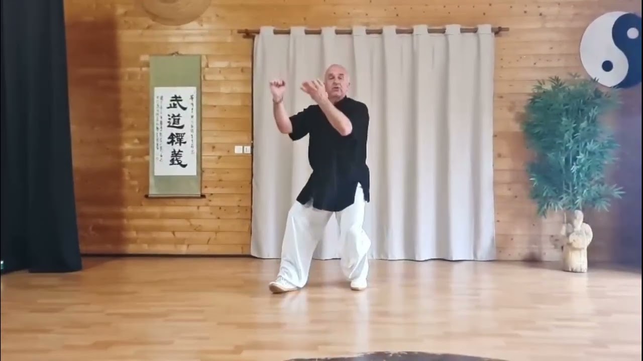 Zuhelianxi : 5 mouvements de façon explosive Par Thierry Alibert