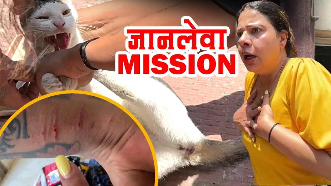 BILLIYON NE KAAT DALA😳