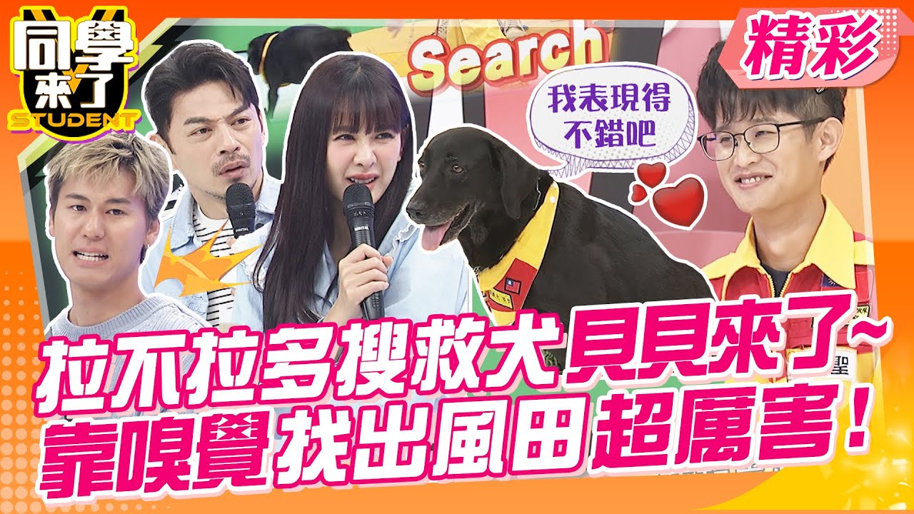 神勇搜救犬貝貝來了~靠嗅覺找出風田超厲害! 搜救英雄痛苦到想塵封的記憶:神秘的手機聲響?! | 班傑、何妤玟、凡傑、David、傳聖、泰山、吳子龍、田舞陽、折田 @同學來了StudentsComing