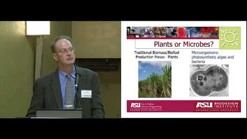 Using Photosynthetic Microorganisms to Generate Re...