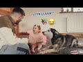 Baby &amp; Husky Learning Different Animals &amp; Foods Will Make You Smile!!😭💖. [CUTEST EVERR!!!]