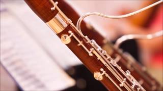 Classical Music for Studying Concentration Relaxation Study Music Bassoon Instrumental Music screenshot 3