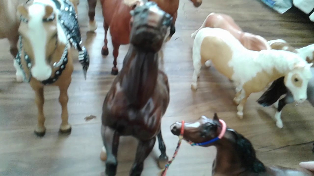 Breyer The life of a horse (joey's life) episode 2 YouTube