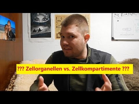'Zellorganellen' vs. 'Zellkompartimente'