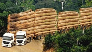 100 Extreme Dangerous Idiots at Work Fastest Biggest Dump Truck, Logging Wood Truck Fails Driving