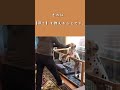 ②無駄吠えに効果のあるトレーニング#shorts
