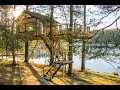 Treehouse Treehouse