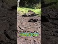This RC Car is a Mud Monster! Insane Donuts &amp; Huge Mud Spray