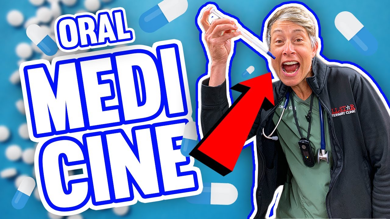HOW TO Give Oral Medication To Your Dog Or Cat! YouTube