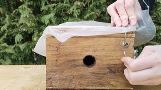 Des Nichoirs Artificiels Pour Les Bourdons - Choix, Conception Et Installation