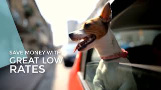 Ready for a New Ride? Turn to Northwest Federal CU for an Auto Loan with No Payments for 90 Days