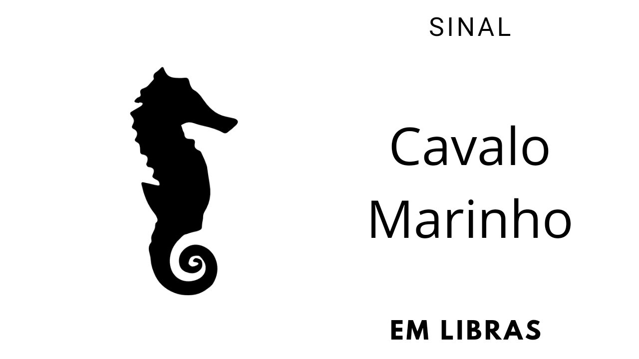 CAVALO MARINHO SINAL em LIBRAS Ed Libras YouTube