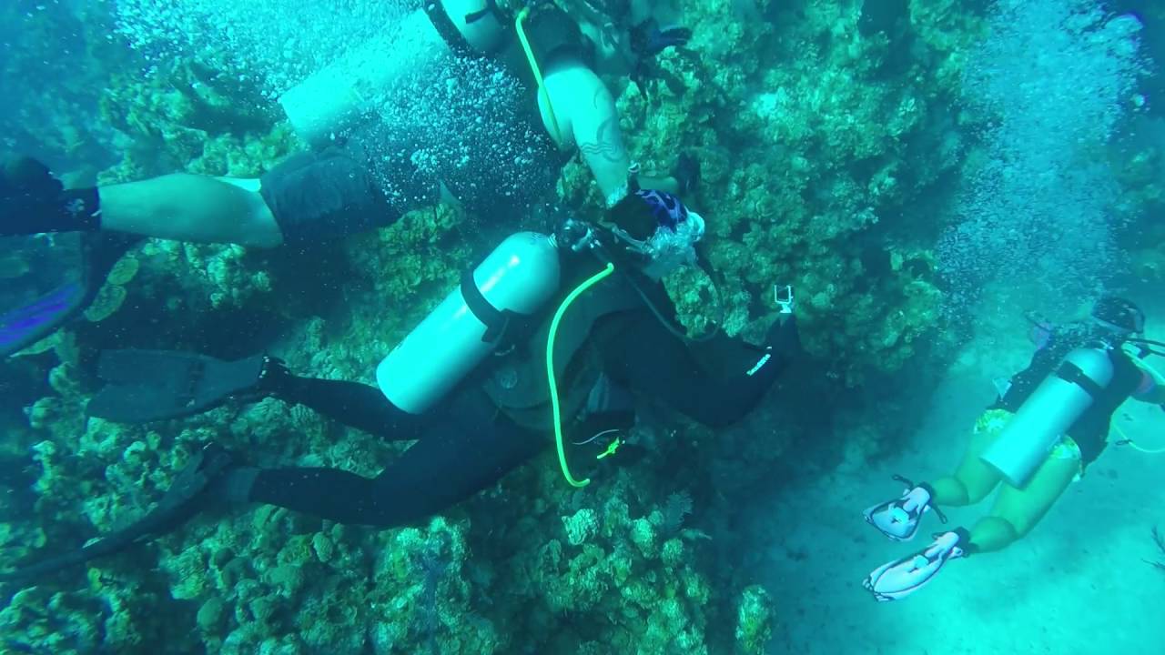 Wall dive in San Salvador, Bahamas YouTube